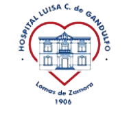 LOGO_HOSPITAL_GANDULFO-removebg-preview